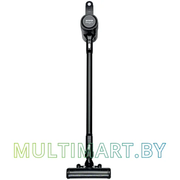 Пылесос Gorenje SVC216FMLBKII